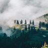 读者山中来信的头像，清晨山谷中的薄雾与远山轮廓